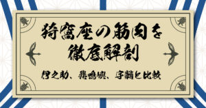 猗窩座の筋肉を徹底解剖！武術で磨き上げた身体を伊之助、悲鳴嶼、宇髄と比較
